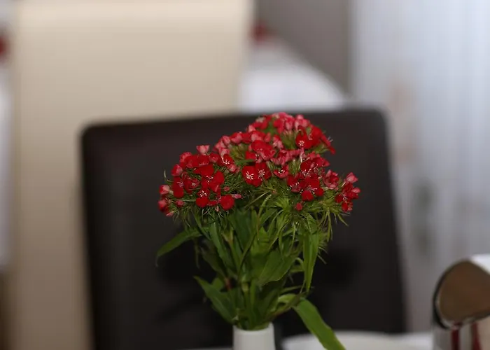 Alka Bietigheim-Bissingen